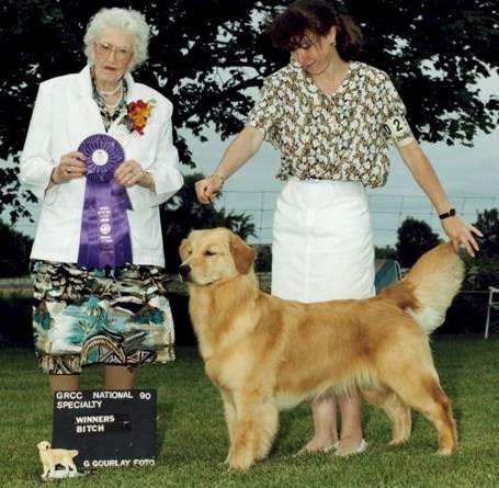 Golden Retriever image:  Am/Can/Jpn Ch Brookshire's Unforgetable Fire