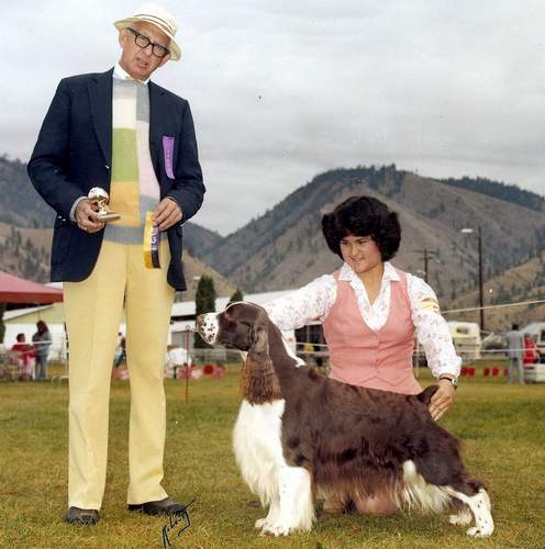 English Springer Spaniel image:  Am/Can Ch Regency's Free Spirit