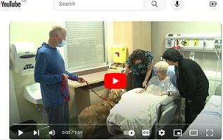 Scott O'Brien, with Therapy dogs 'Rook' 